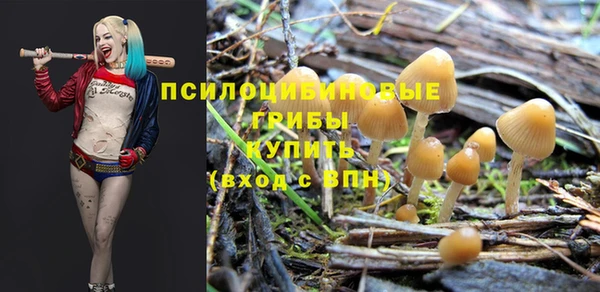 кокаин Арсеньев