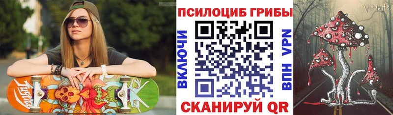 как найти Узловая Псилоцибиновые грибы Cubensis